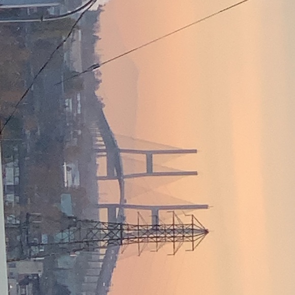 Meet your Posher, Elizabeth - Picture 1 of 1